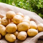 When and how to properly collect potato seeds from berries