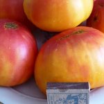 'Крупноплодный сорт, от которого в восторге дачники - томат "Загадка природы"' width="800