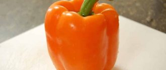&#39;Large and sweet pepper variety &quot;Big Girl&quot;: reviews from summer residents and their growing secrets&#39; width=&quot;800