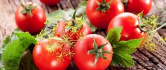 Лучшие экспресс-рецепты, как засолить помидоры в пакете быстро и вкусно: ингредиенты, инструкции и советы домохозяек