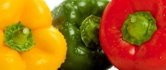 The best early varieties of sweet peppers