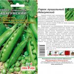The best varieties of peas with photos and descriptions