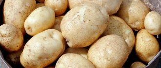 the best potato varieties with descriptions for different regions
