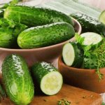 The best varieties of cucumbers for the Moscow region: photos, names and descriptions (catalog)