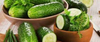 The best varieties of cucumbers for the Moscow region: photos, names and descriptions (catalog)