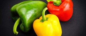 The best varieties of sweet peppers