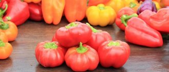 The best varieties of sweet peppers with reviews