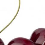 The best varieties of cherries for growing in the Moscow region