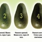 The best ways to ripen avocados at home quickly and easily