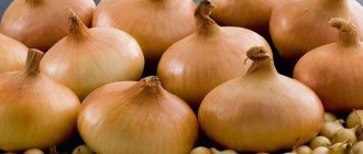 Onion sets Radar