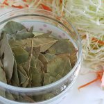 lunar calendar for pickling cabbage