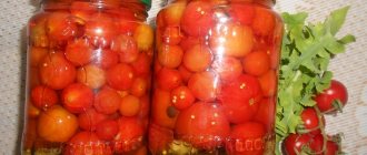 Pickled cherry tomatoes in the easiest way