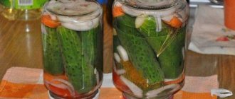 Pickled cucumbers with carrots and onions