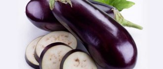 A gardener&#39;s dream eggplant introduction
