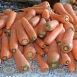 Carrot Losinoostrovskaya