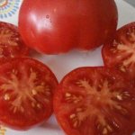 Tomato pulp