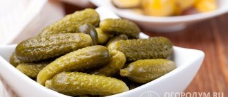 Small, crispy, appetizing gherkins will become a real decoration of the winter table.