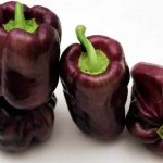 'Необычный сорт с фиолетовыми плодами - перец "Биг папа