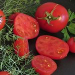 &#39;An unpretentious variety that requires minimal care - the Japanese Dwarf tomato&#39; width=&quot;800