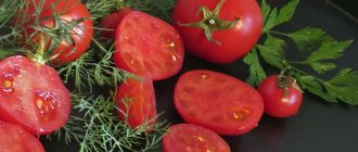 &#39;An unpretentious variety that requires minimal care - the Japanese Dwarf tomato&#39; width=&quot;800