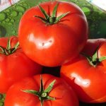 'Неприхотливый, универсальный в использовании, раннеспелый томат "Дружок f1": отзывы и секреты выращивания' width="800
