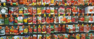New varieties of tomatoes 2021