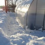 Cleared perimeter of snow around the greenhouse