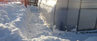 Очищенный периметр от снега вокруг теплицы