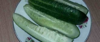 Cucumbers Handsome Hikmet