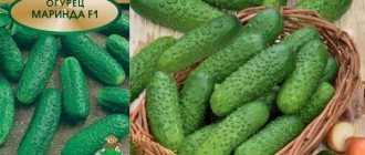 Marinda cucumbers