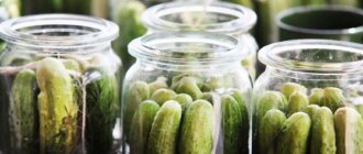 Cucumbers in jars