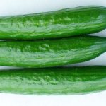 cucumber stella f1 description reviews
