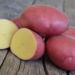 Description of Red Scarlet potato tubers