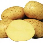 Description of the Colette potato variety