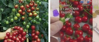 Description of the tomato variety Children&#39;s Joy and its characteristics