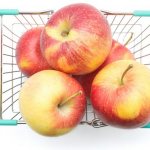 Описание яблони сорта Орловское Полосатое