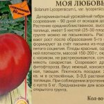 'Оправдывает ли свое название томат "Моя любовь": плюсы и минусы гибрида' width="600