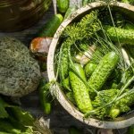 Features of pickling cucumbers for the winter in a barrel: cold pickling recipes