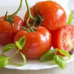 &#39;An excellent hybrid for open ground - tomato &quot;Shady Lady f1&quot;: we grow unpretentious tomatoes without hassle&#39; width=&quot;800