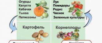Vegetables and fertilizers