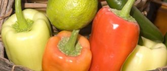 Peppers require constant care