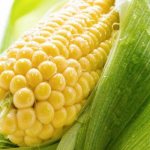 Полезная кукуруза