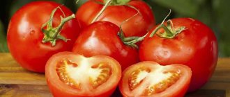 &#39;A positive variety in all respects from Russian breeders - the Parodist tomato&#39; width=&quot;800