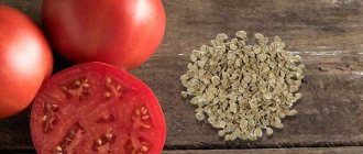 Tomatoes and seeds