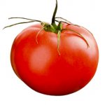 Tomatoes: benefits and harm for the body