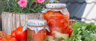 помидоры с горчицей на зиму рецепты