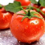washed red tomato