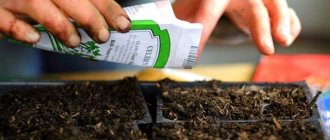 Sowing seeds in a cassette