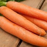Early maturing carrot hybrid with sweet taste Nandrin f1