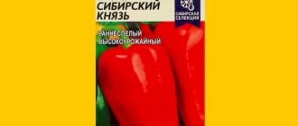 Раннеспелый и высокоурожайный сорт перца Сибирский князь